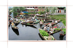 Floating floating-vegetable-market-srinagar floating-vegetable-market-srinagar Vegetable Market Srinagar